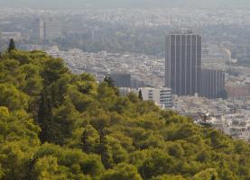 Photo (c) Andrea Bonetti/WWF Greece