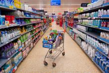 @Richard Stonehouse-WWF Canon @Richard Stonehouse-WWF Canon