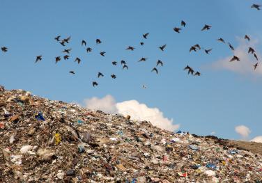 Η κατάσταση με τα σκουπίδια στην Ελλάδα (Photo: Flickr/Justin Ritchie)